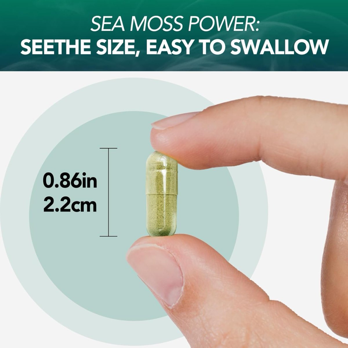 Seaweed Capsules 60 Capsules Per Bottle