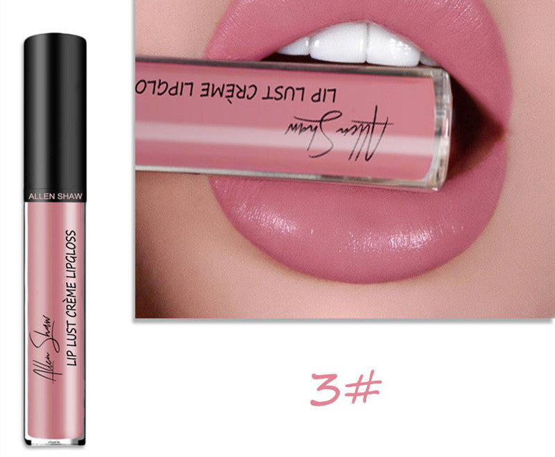 Silky Cream Texture Lip Gloss Lip Glaze Lipstick