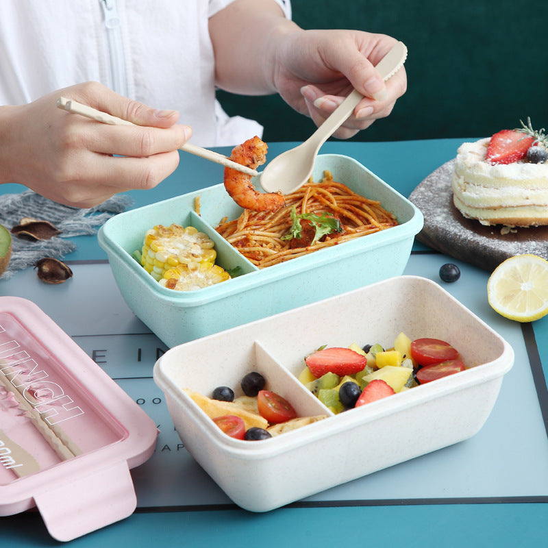 Plastic lunch box