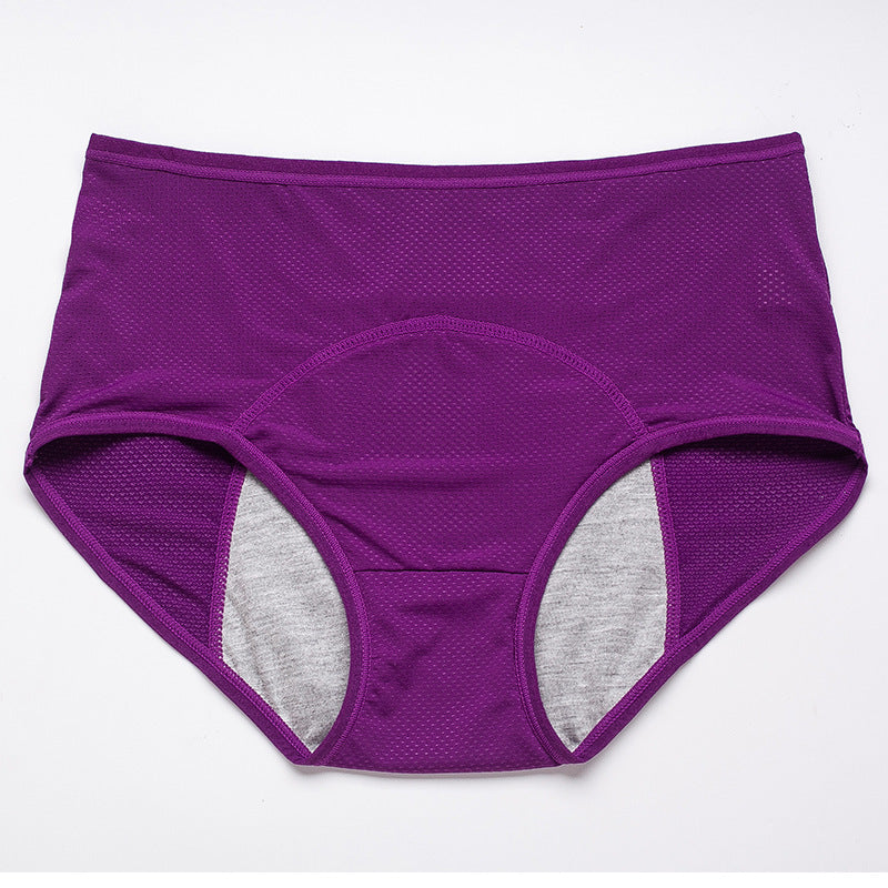 Period Leak Proof Panties Women Underwear Pants Nylon Briefs