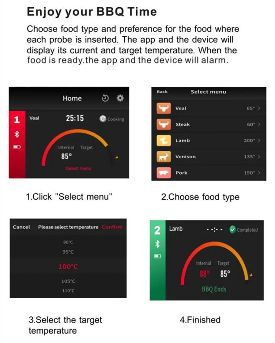 BBQ Probe Wireless Bluetooth BBQ Thermometer AuraRitmo