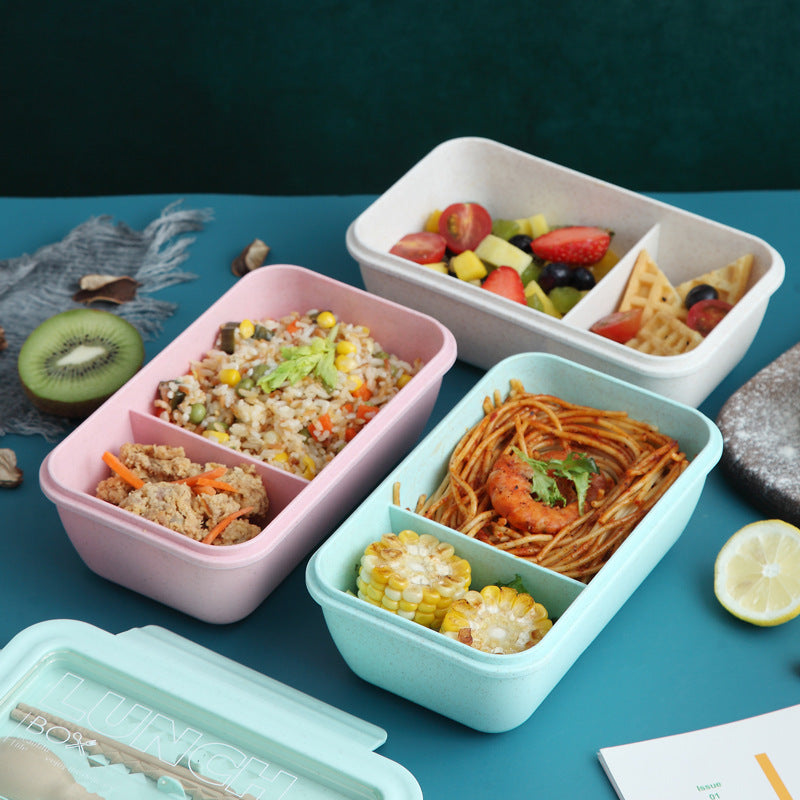 Plastic lunch box