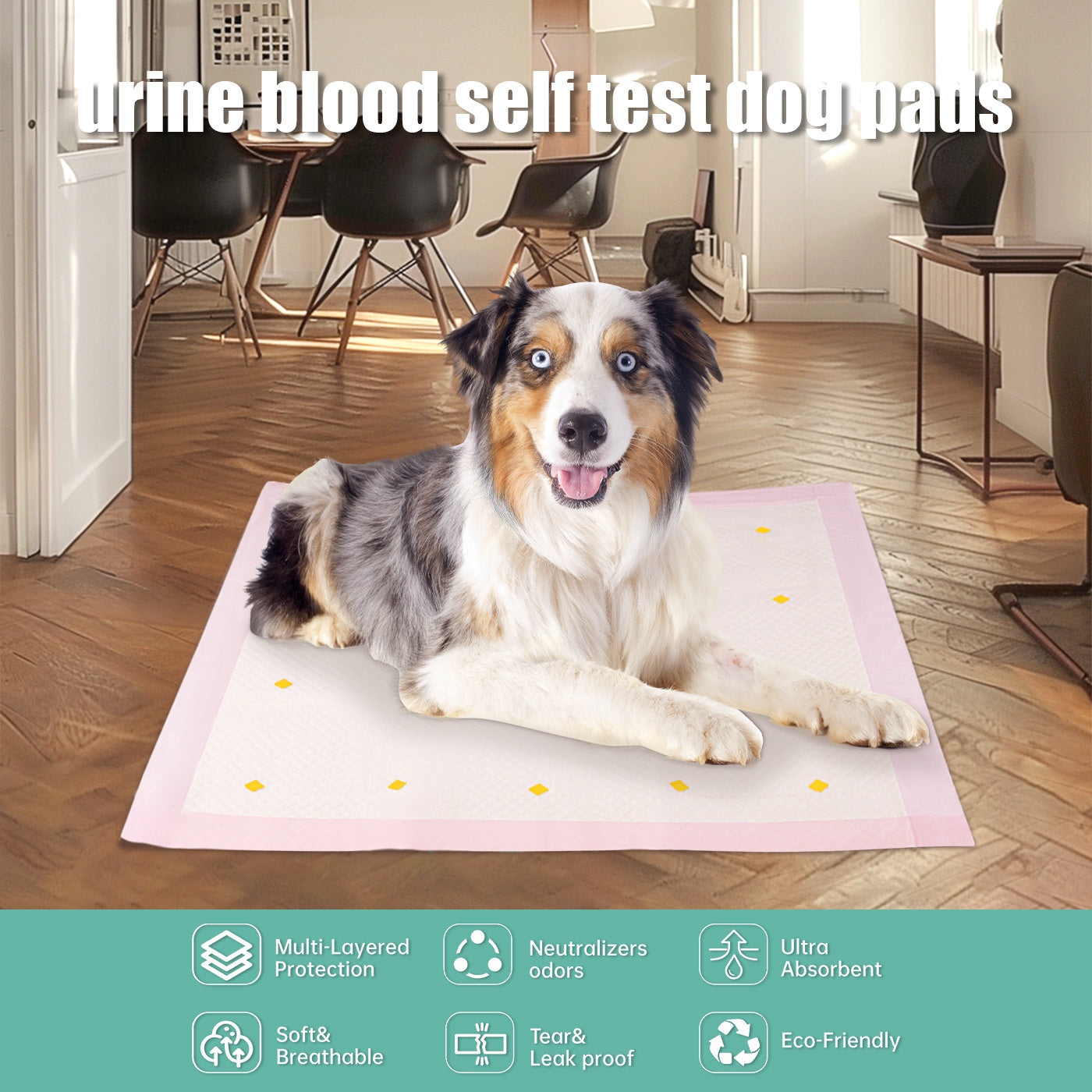 Dog Detection Urine Pad – Health Monitoring for Your Pet